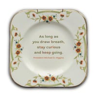 Image 1 of Michael D. Higgins quote (Ref. 742)