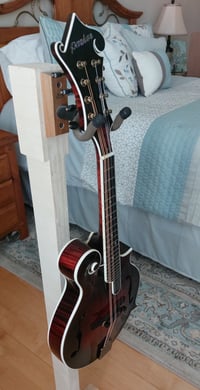 Image 4 of Custom Made F Style Mandolin