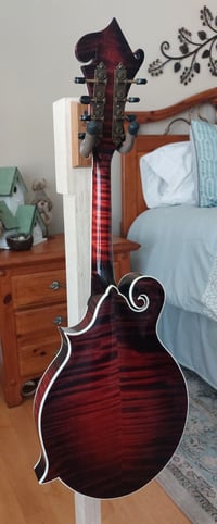 Image 3 of Custom Made F Style Mandolin