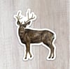 Deer Sticker