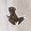 Coastal tailed frog Sticker