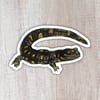 Tiger Salamander Sticker