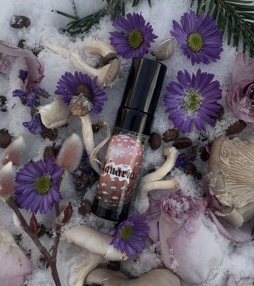 Image of AQUARIUS Perfume oil (Mushroom, Musk, Coffee, Lavender)