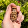 Altered Pebbles: Sandstone vial