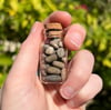 Altered Pebbles: Pepper vial