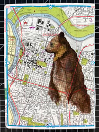 Image 2 of Sacramento Grizzly Bear