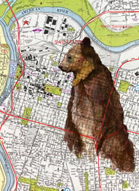 Image 1 of Sacramento Grizzly Bear