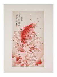 Image 3 of Red Koi