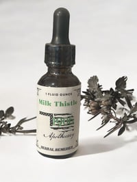 Milk Thistle 