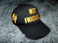 NOT FRIENDLY HAT