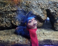 Image 1 of 'allo Worm