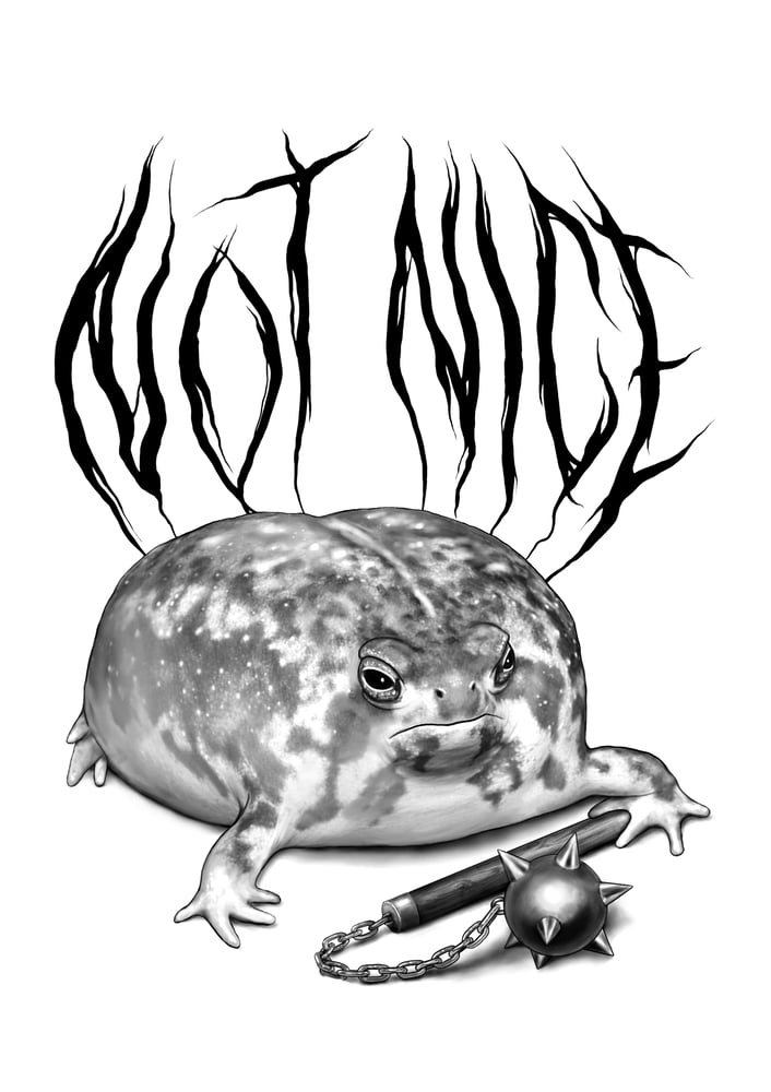 Image of NOT NICE