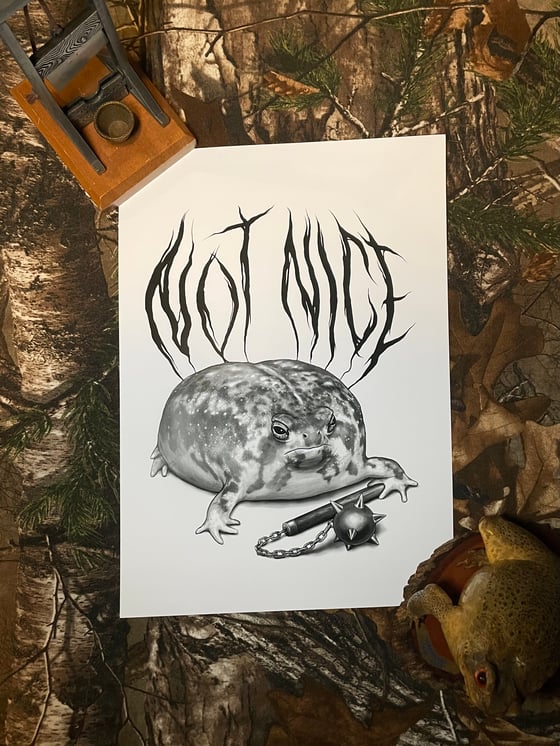 Image of NOT NICE