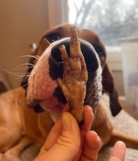 Image 4 of Chicken Feet (declawed)