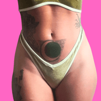Image 1 of The VENUS thong in olive green velvet.