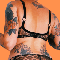 Image 3 of The TOUCH bra in leopard print mesh