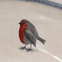 Image 7 of Robin Pasta Bowl