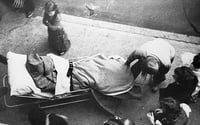 Image 3 of JOSEPH BEUYS - COYOTE - BY CAROLINE TISDALL