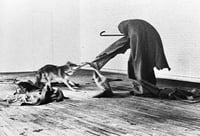 Image 2 of JOSEPH BEUYS - COYOTE - BY CAROLINE TISDALL