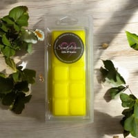 Summerbreeze Wax Melt