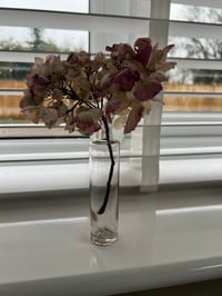Image 1 of Vintage Bottle