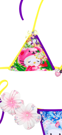 Image 3 of Winter rabbit &winter sleep hellokitty