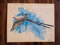 Image 1 of ORIGINAL I.T. ledger ScissorTail 