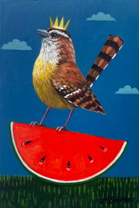 Carolina Wren Watermelon Indigo