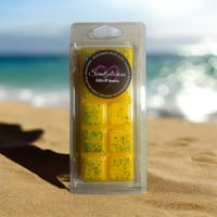 Mrs H Vacay Vibez Wax Melt 