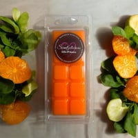 JM Lime, Basil & Mandarin Wax Melt