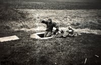 Image 4 of DiveINN