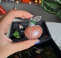 Image 4 of Zucca corniola