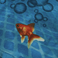 Image 7 of Goldfish T-shirt