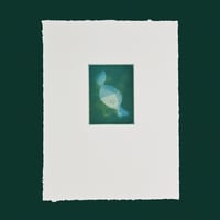 Image 1 of glow admist the dark | Intaglio print | colour print
