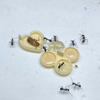 Image 3 of Mini drone