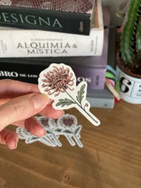 Image 5 of Pegatinas (Varias opciones)