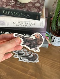 Image 3 of Pegatinas (Varias opciones)