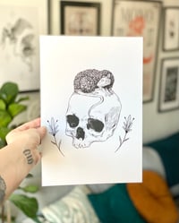 “Rats in ruin” (A4 Print)