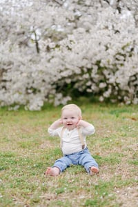 Image 5 of Spring Cherry Blossom Minis