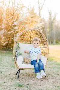 Image 2 of Baby Chicks Easter themed minis