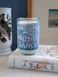 Image 1 of Wilder Ranch - Honey/Wildflowers Soy Wax Candle 