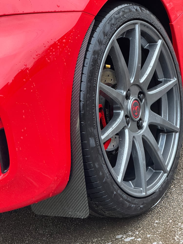 Image of Carbon Guard "large" for Abarth 595/695 series 3/series 4