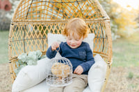 Image 1 of Baby Chicks Easter themed minis