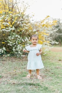 Image 3 of Baby Chicks Easter themed minis