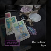 Image 11 of ☽ Quercus Robur ☾