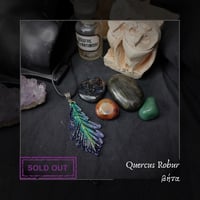 Image 12 of ☽ Quercus Robur ☾