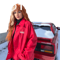 Image 1 of Toyota wind breaker