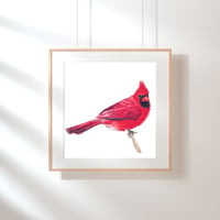 Cardinal Watercolor Painting Fine Art Print