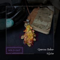 Image 14 of ☽ Quercus Robur ☾