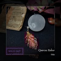Image 19 of ☽ Quercus Robur ☾